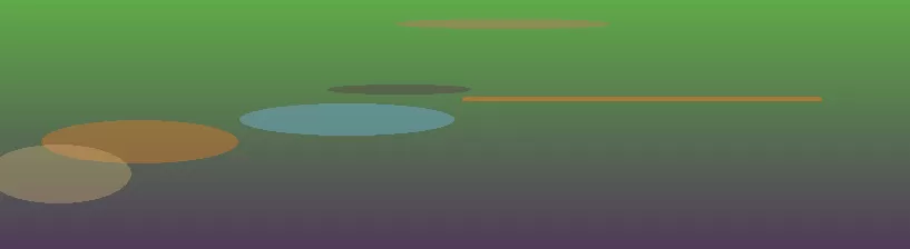 星空体育 半岛