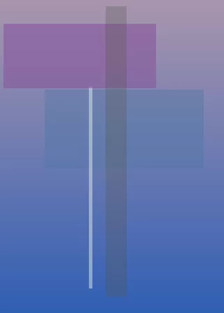星空体育app