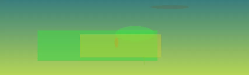 星空体育app