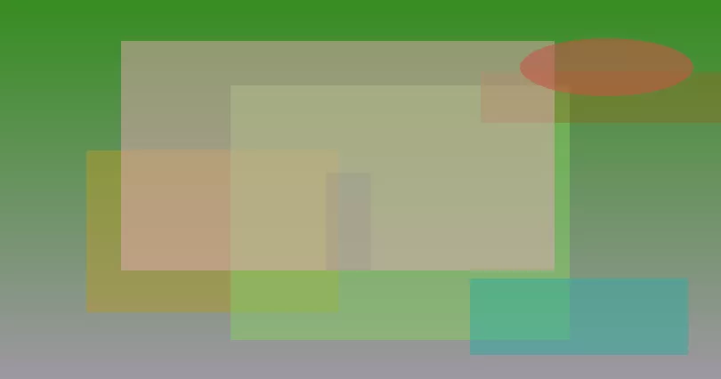 星空体育app