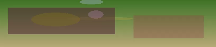 星空体育app