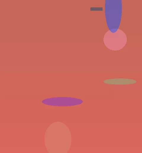 星空体育app