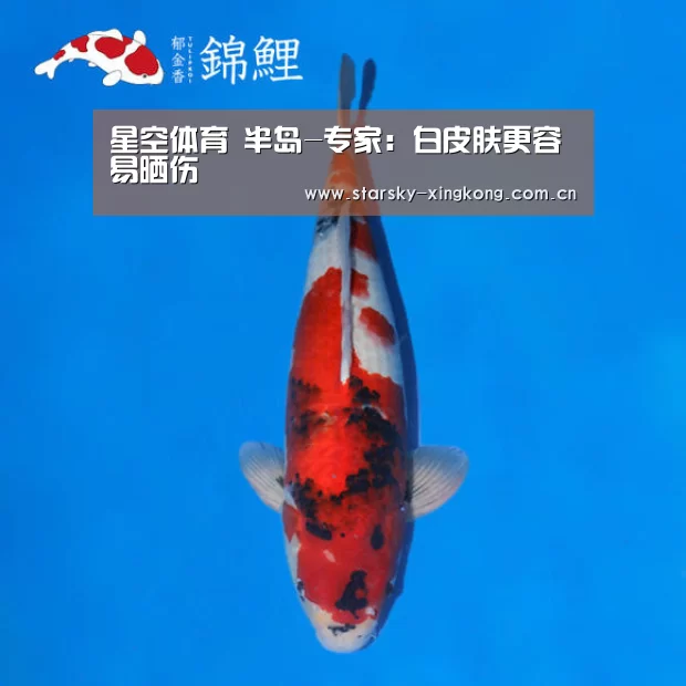 星空娱乐