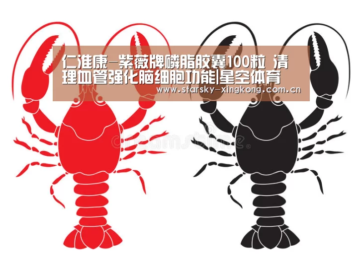 星空体育app