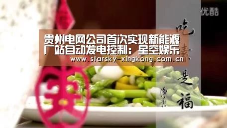 贵州电网公司首次实现新能源厂站自动发电控制:星空娱乐(图3) 星空娱乐