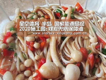 星空体育 半岛_国家能源局绘2020施工图:煤炭兜底保障油气安全保障(图1) 星空体育 半岛