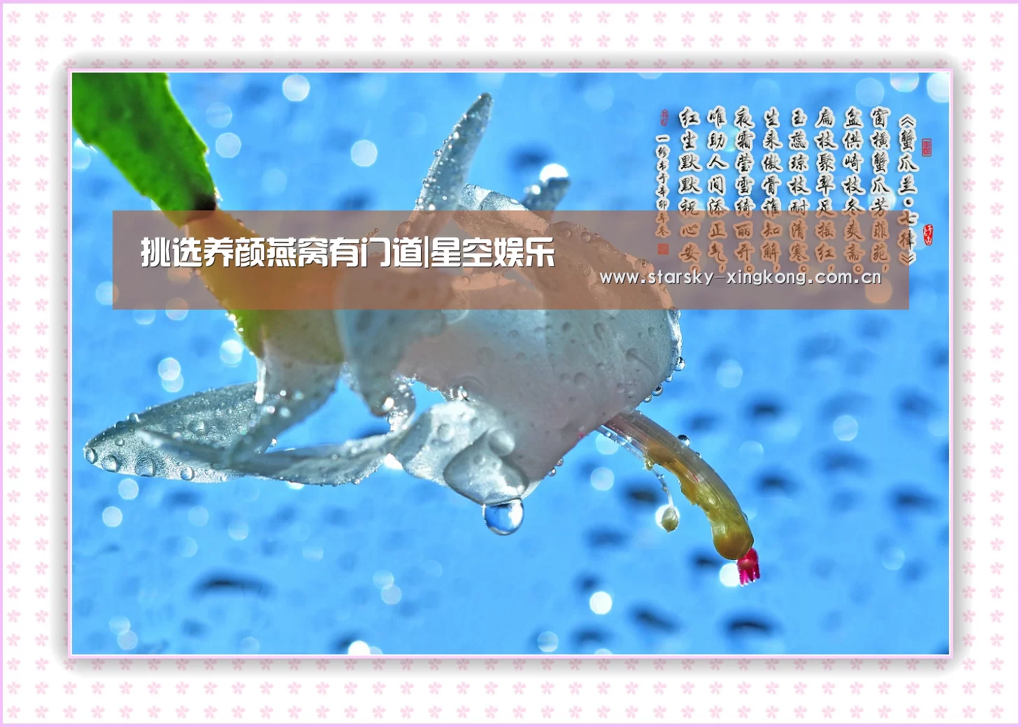 挑选养颜燕窝有门道|星空娱乐(图1) 星空体育 半岛